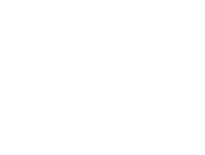 Silver Microsoft Partner